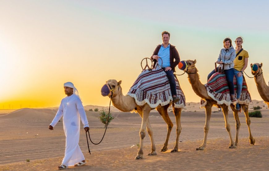 Morning Desert Safari services